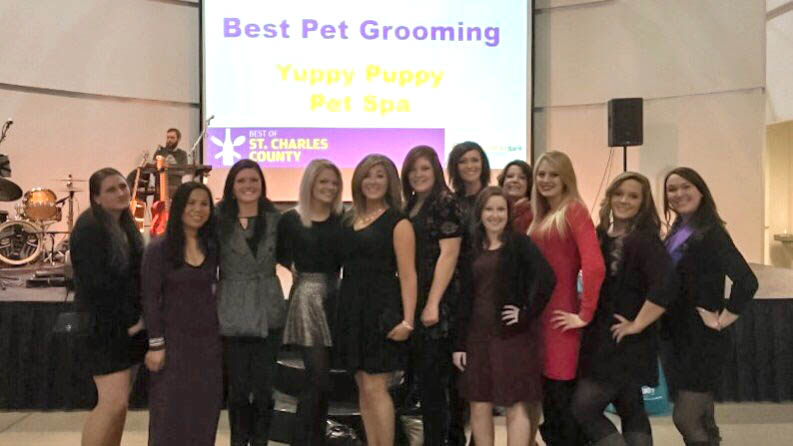 voted best pet grooming in St.charles county 