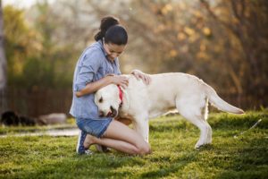 pet training | certified dog trainer