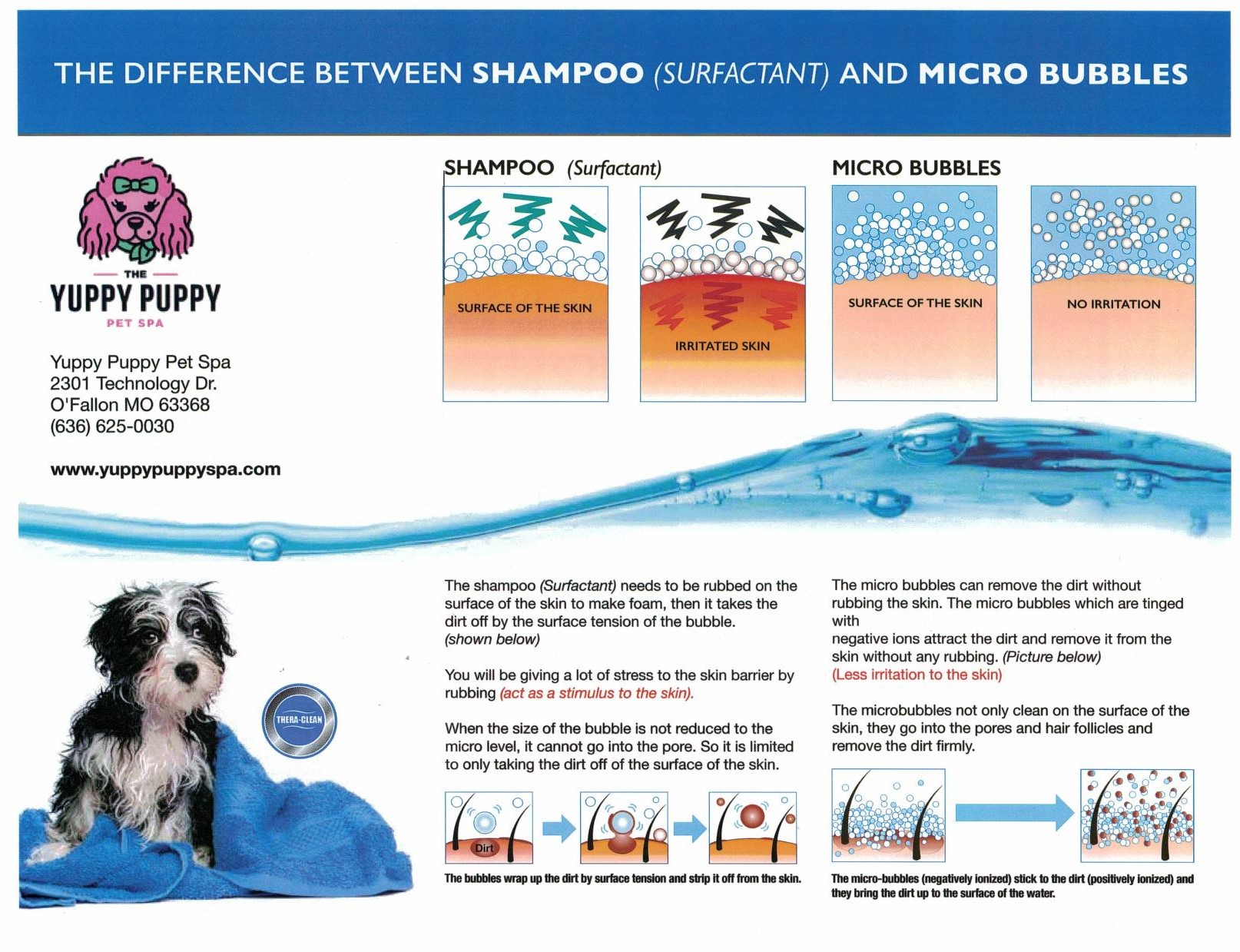 The Difference between shampoo