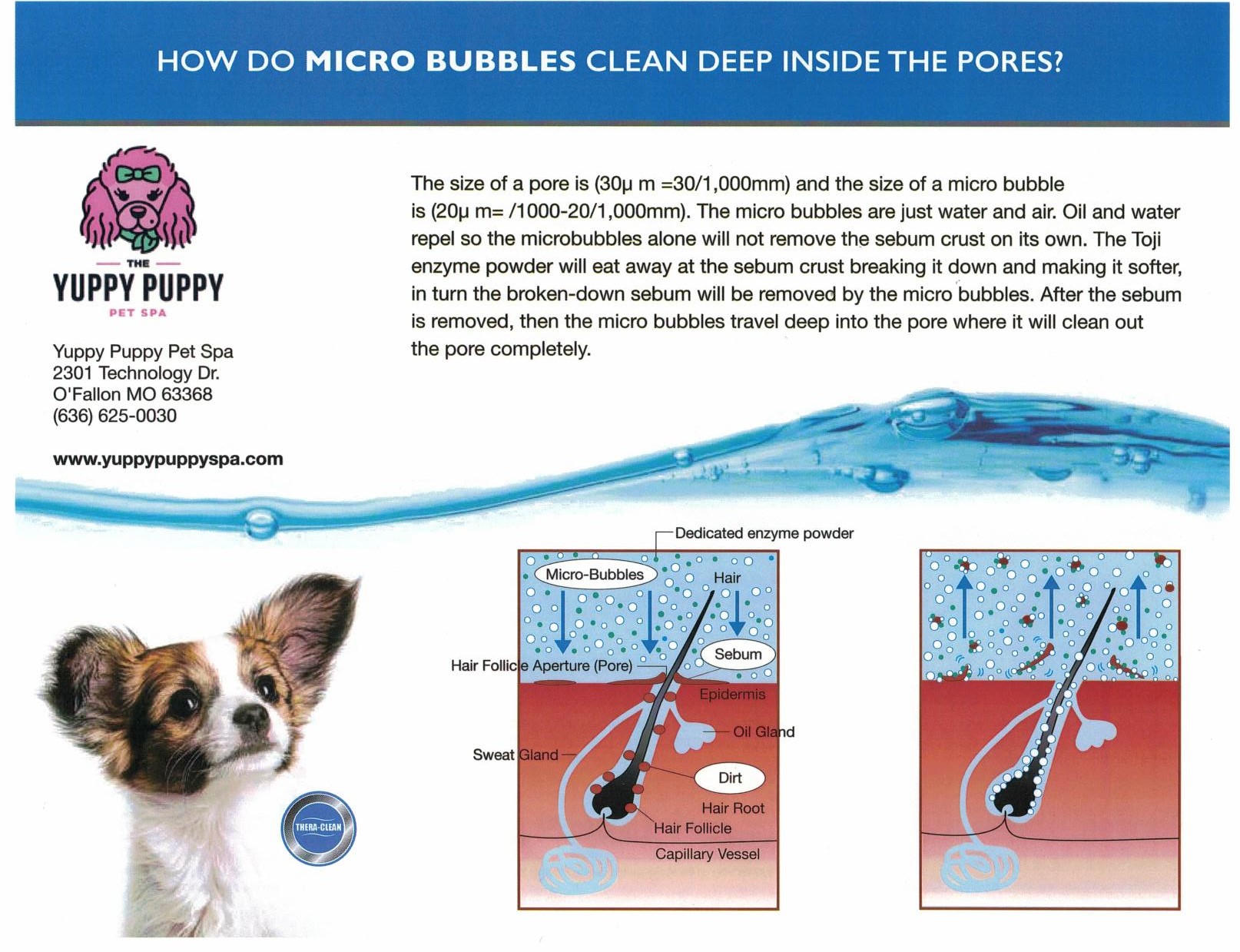 How do Micro Bubbles Clean Deep inside the Pores?