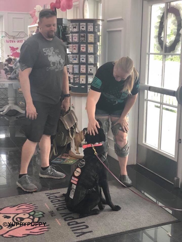 dogs-that-help
