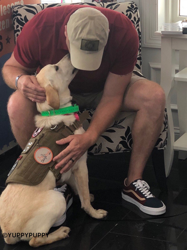 dogs-that-help