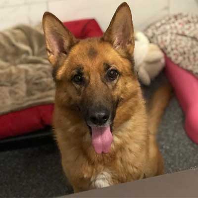 Amelia-Adopted