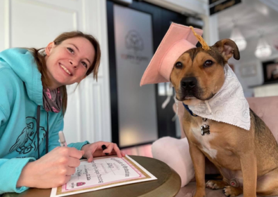 Dog with graduation hat