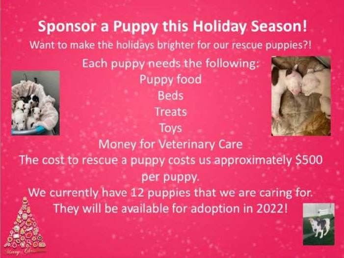 Sponsor-Holiday Sponsor-Holiday